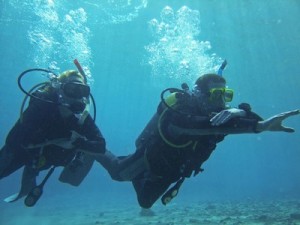 Povandeninės navigacijos nardymo kursai (Underwater navigator) 