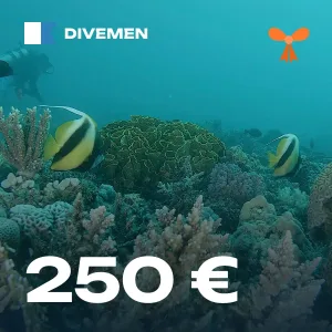 Gift voucher €250