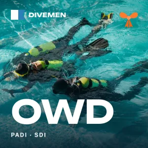 Open Water Diver course (OWD) – gift voucher