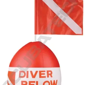 Signal buoy with flag