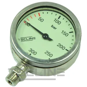 Pressure gauge 52 mm, 230 bar, nickel