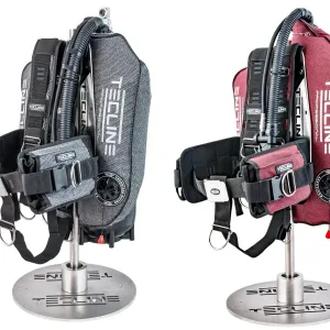 Peanut 16/21 Professional Kevlar wing set with Comfort harness