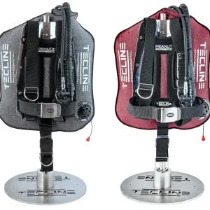 Peanut 21 Professional Kevlar wing set with DIR harness