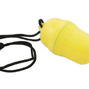 Waterproof egg container, yellow