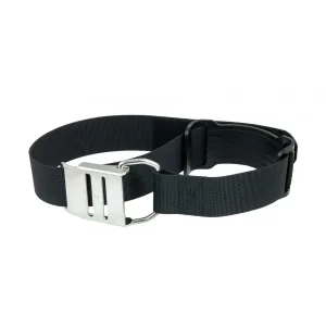 Single tank band with SS buckle
